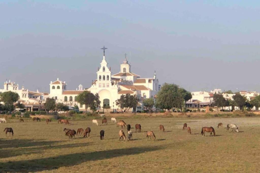 Appartamento Casa Luz Del Rocio Refugio Con Alma A 8 Minutos De La Ermita Esterno foto